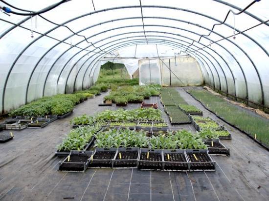 Un cocagne parmi d'autres: le jardin de Mâcon