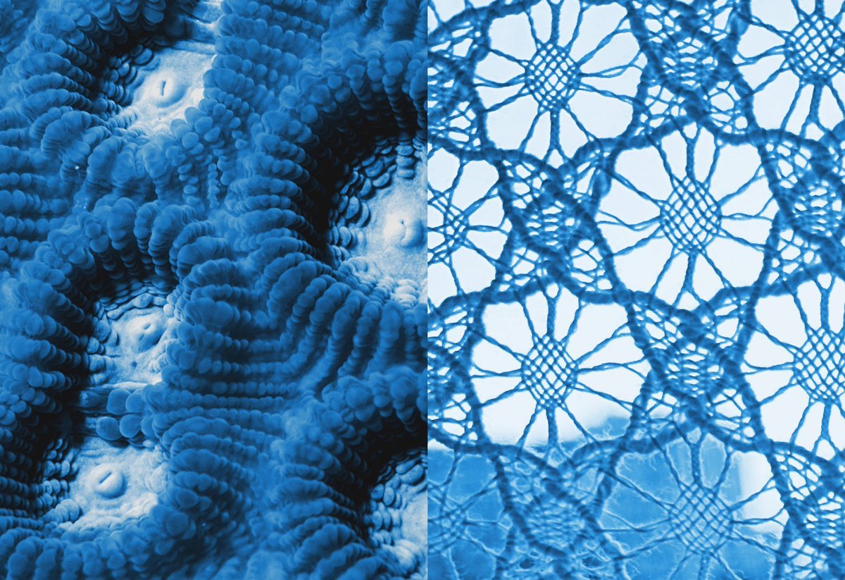 Quand l'art et la science s'unissent au profit de la planète