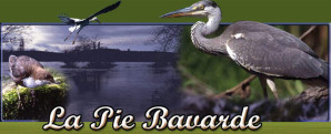 la-pie-bavarde.jpg