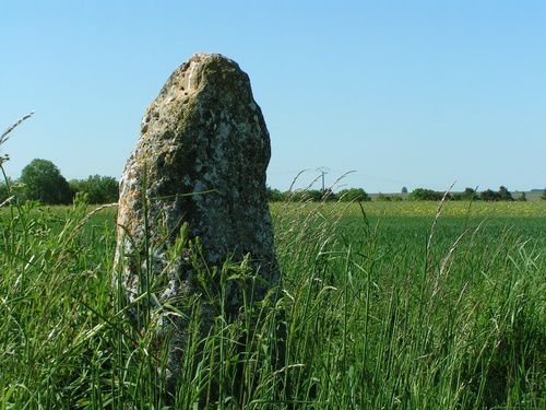 Album - mes-carnets-de-campagne
