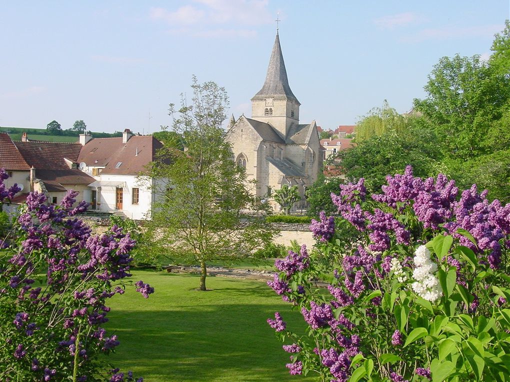 Album - mes-carnets-de-campagne