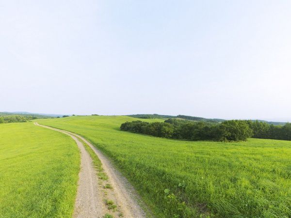 Album - mes-carnets-de-campagne