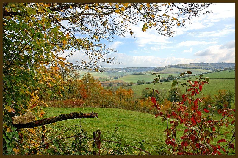 Album - mes-carnets-de-campagne