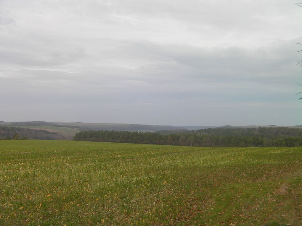 Album - mes-carnets-de-campagne