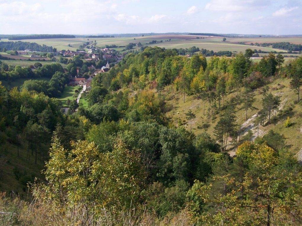 Album - mes-carnets-de-campagne