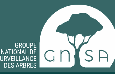                                      Stop à l'abattage des arbres!!!! 