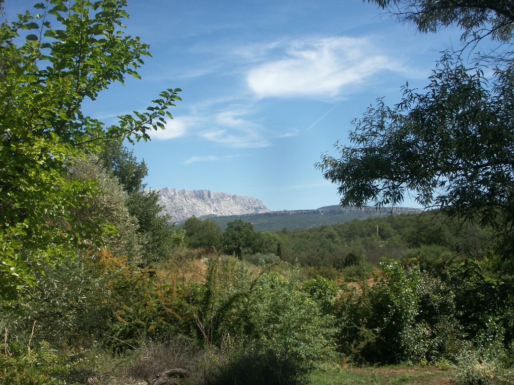 Album - mes-carnets-de-campagne