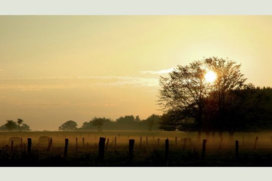 Album - mes-carnets-de-campagne