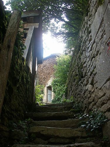 Album - mes-carnets-de-campagne