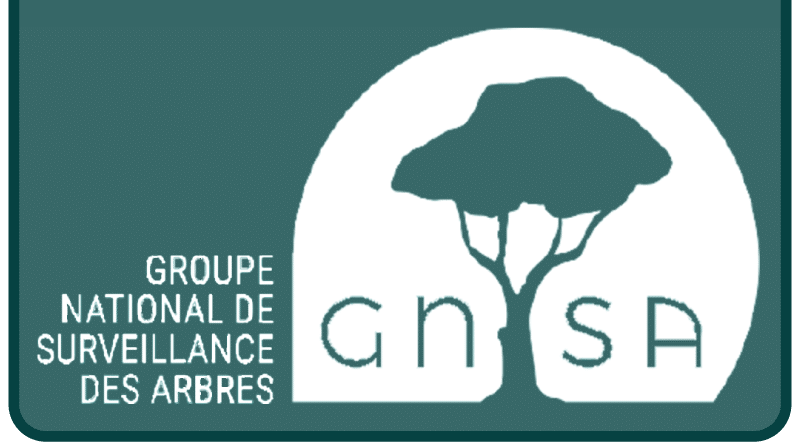                                      Stop à l'abattage des arbres!!!! 